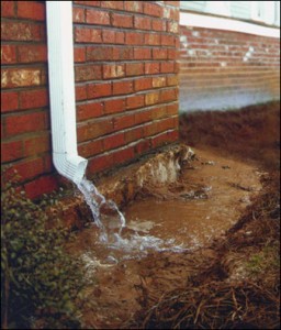 Look out for these three subtle signs that you may have a drainage problem.