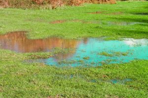 drainage