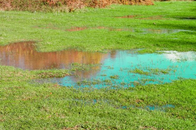 3 Common Causes of a Leaking Lawn Irrigation System
