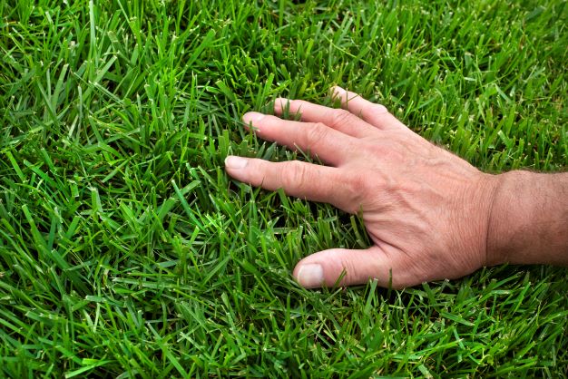 3 Signs Indicating Your Lawn Needs an Irrigation System