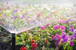 Automatic Sprinkler Watering Flowers