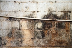 Water Damage Yard Drainage