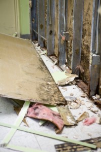 Molded Sheetrock Wall