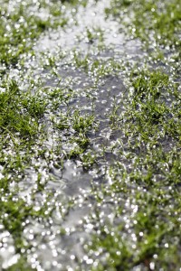 puddle