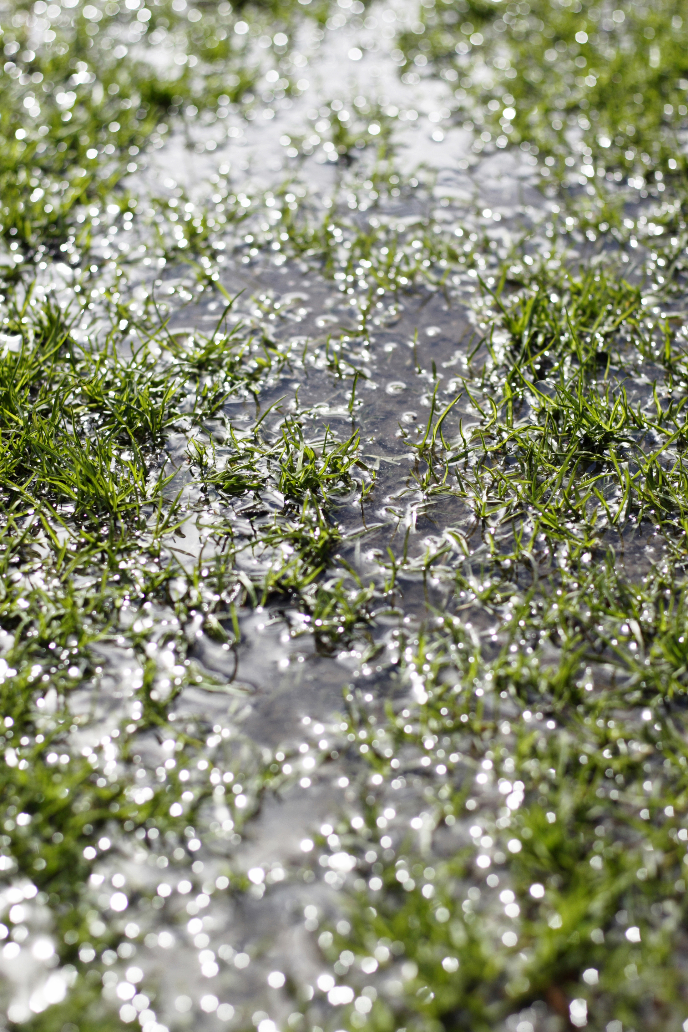 lawn drainage problem