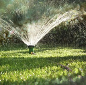 Lawn sprinkler