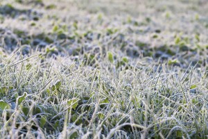 winterizing your sprinkler system