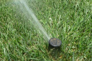 You should inspect your sprinkler heads for irrigation system leaks. 