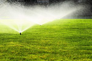Interested in having a beautiful lawn? Irrigation systems make this possible. 