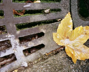 Fall Drainage System