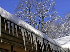 winter weather damage