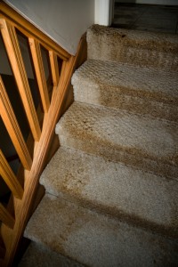 Wet carpet is the ideal environment for unpleasant and even dangerous mold and mildew to grow. Learn more about water damage.