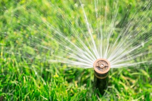 sprinkler-system