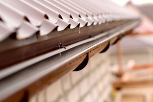 gutter blockages