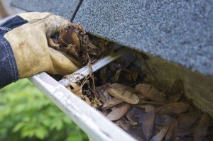 drainage problem