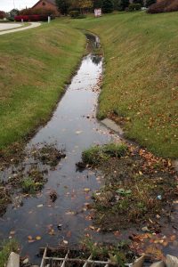 Drainage Problems