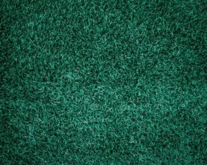 lawn