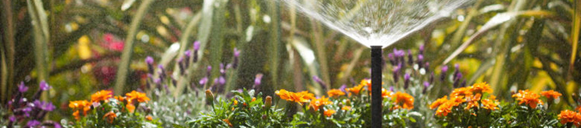 Aqua Bright Irrigation Systems