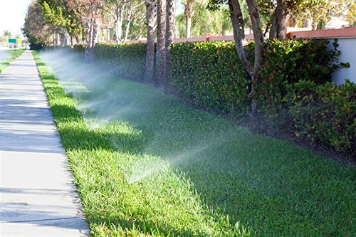Commercial Irrigation Sprinkler Design and Installation