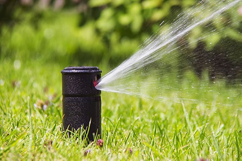 Commercial Lawn Sprinkler Start Ups