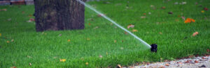 Aqua Bright Winter Lawn Maintenance