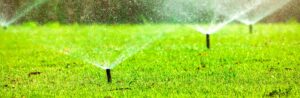 Irrigation System Design and Installation Banner