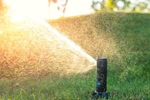 Lawn Irrigation System
