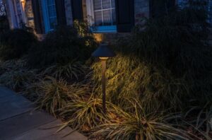 aqua-bright landscape lighting services in Arlington