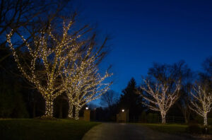 aqua-bright outdoor holiday lighting installation services in Rockville