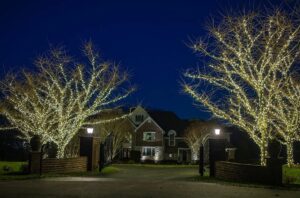 aqua-bright outdoor holiday lighting installation services in Bethesda