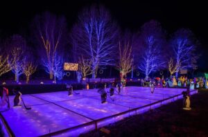 aqua-bright outdoor holiday lighting installation services in north chevy chase