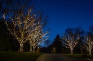 aqua-bright outdoor holiday lighting installation services in kensington