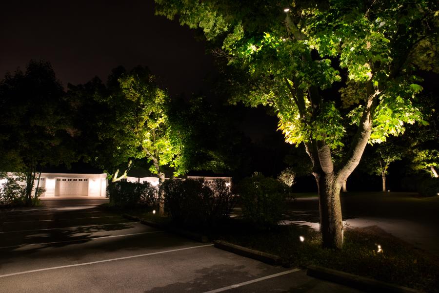 commercial landscape lighting