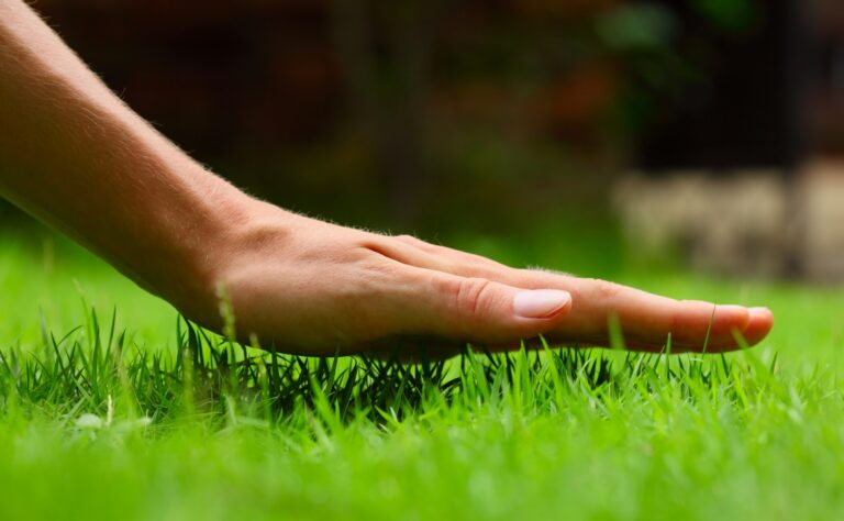aqua-bright lawn care