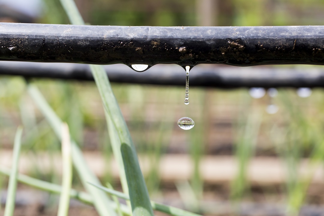 Illustration of Park Irrigation System Installation For Colleges
