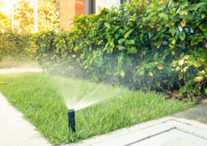 aqua-bright Automatic Irrigation Sprinklers 